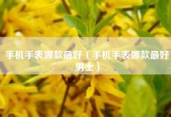 手机手表哪款最好（手机手表哪款最好男士）