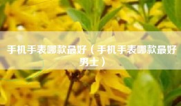 手机手表哪款最好（手机手表哪款最好男士）