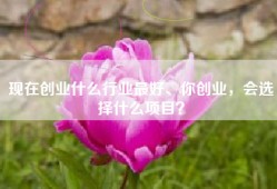现在创业什么行业最好、你创业，会选择什么项目？