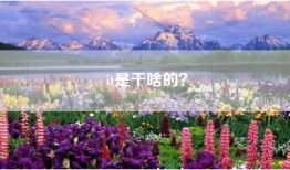 it是干啥的？