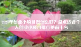 2024年创业小项目做什么好？盘点适合个人创业小项目排行榜前十名