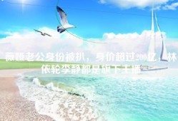 薇娅老公身份被扒，身价超过200亿，林依轮李静都是旗下主播