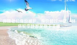 薇娅老公身份被扒，身价超过200亿，林依轮李静都是旗下主播
