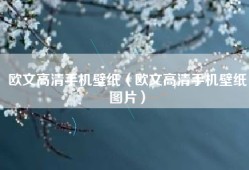 欧文高清手机壁纸（欧文高清手机壁纸图片）