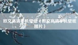 欧文高清手机壁纸（欧文高清手机壁纸图片）