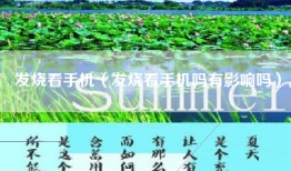 发烧看手机（发烧看手机吗有影响吗）