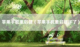 苹果手机重启键（苹果手机重启键坏了）