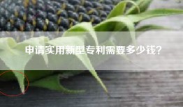 申请实用新型专利需要多少钱？
