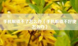手机解锁不了怎么办（手机解锁不好使怎么办）