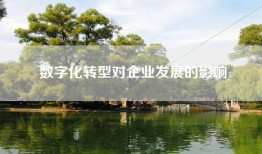 数字化转型对企业发展的影响
