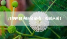 刀郎南昌演唱会定档，震撼来袭！