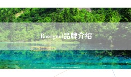 Rossignol品牌介绍