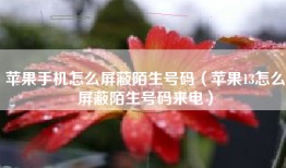 苹果手机怎么屏蔽陌生号码（苹果13怎么屏蔽陌生号码来电）