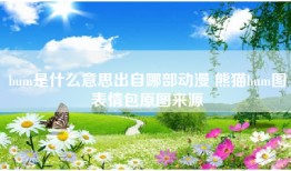 bum是什么意思出自哪部动漫 熊猫bum图表情包原图来源