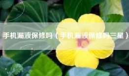 手机漏液保修吗（手机漏液保修吗三星）