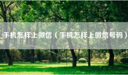 手机怎样上微信(手机怎样上微信号码)
