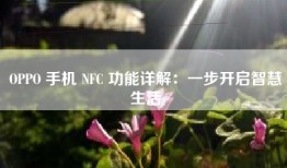 OPPO 手机 NFC 功能详解：一步开启智慧生活