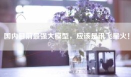 国内目前最强大模型，应该是讯飞星火！