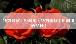 华为哪款手机耐用（华为哪款手机耐用寿命长）