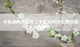 手机测网速在线（手机测网速在线测试方法有哪些）