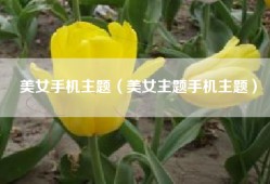 美女手机主题（美女主题手机主题）