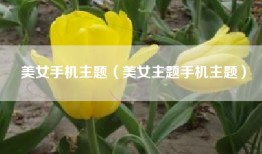 美女手机主题（美女主题手机主题）