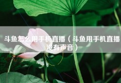 斗鱼怎么用手机直播（斗鱼用手机直播没有声音）