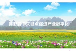 抓好四个关键点促进产业数字化