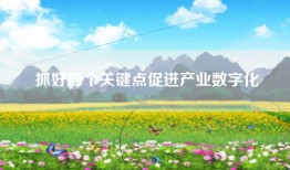 抓好四个关键点促进产业数字化