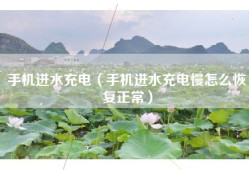 手机进水充电（手机进水充电慢怎么恢复正常）