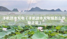 手机进水充电（手机进水充电慢怎么恢复正常）