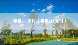 手机nfc 支付（手机NFC支付）