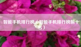 智能手机排行榜（智能手机排行榜前十名）