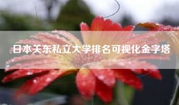 日本关东私立大学排名可视化金字塔