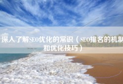 深入了解SEO优化的常识（SEO排名的机制和优化技巧）