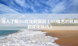 深入了解SEO优化的常识（SEO排名的机制和优化技巧）