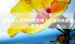 排名快关键词排名代理【关键词快速排名神器】