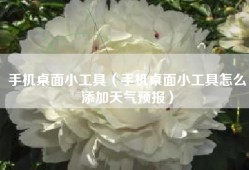 手机桌面小工具（手机桌面小工具怎么添加天气预报）