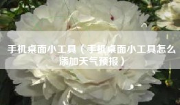 手机桌面小工具(手机桌面小工具怎么添加天气预报)