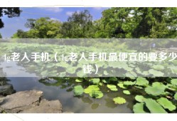 4g老人手机（4g老人手机最便宜的要多少钱）