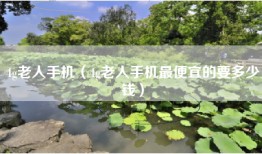 4g老人手机（4g老人手机最便宜的要多少钱）