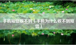 手机短信收不到（手机为什么收不到短信）
