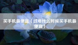 买手机最便宜（过年什么时候买手机最便宜）