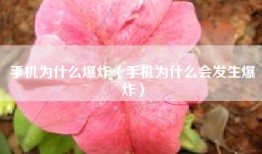 手机为什么爆炸（手机为什么会发生爆炸）