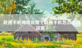 联通手机网络设置（联通手机怎么上网设置）
