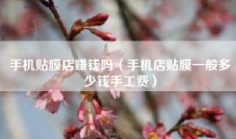 手机贴膜店赚钱吗（手机店贴膜一般多少钱手工费）