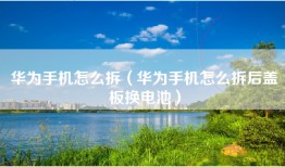 华为手机怎么拆（华为手机怎么拆后盖板换电池）