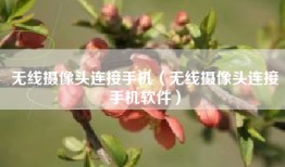 无线摄像头连接手机（无线摄像头连接手机软件）