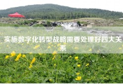 实施数字化转型战略需要处理好四大关系