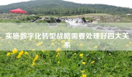 实施数字化转型战略需要处理好四大关系